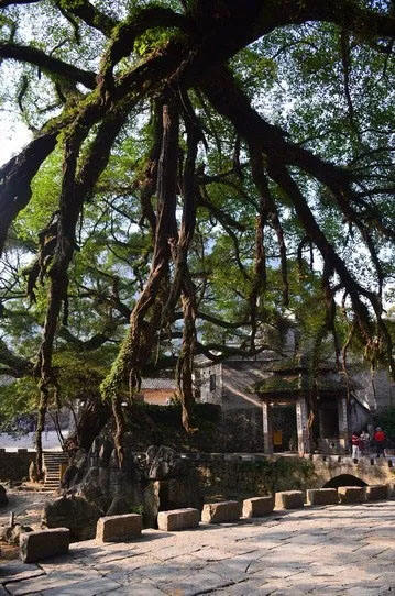 博皓游記 | 夏風(fēng)微醺的綺夢(mèng)，領(lǐng)略賀州黃姚古鎮(zhèn)、姑婆山閑憩之美-12