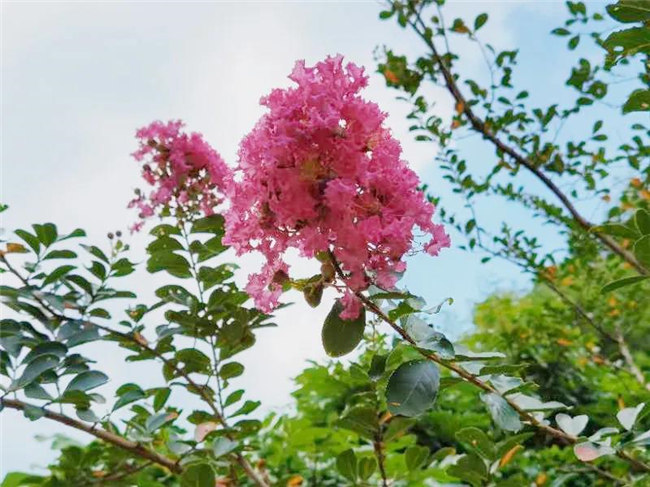 呼吸鮮氧，踐行公益——廣東博皓公益活動：星溪線公益環(huán)保活動   -5