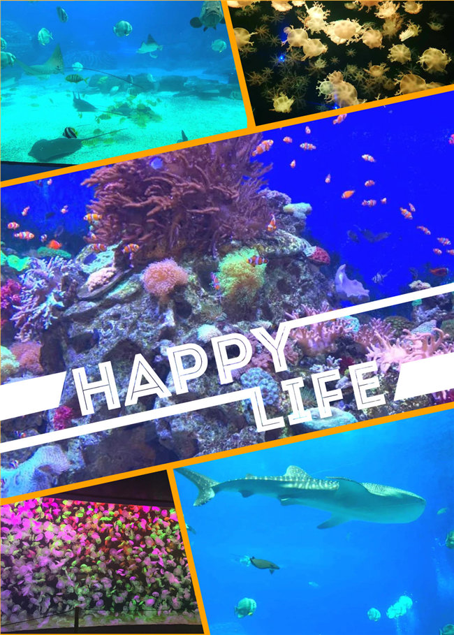 廣東博皓親子游：珠海長隆海洋王國，探索海洋生物的奧秘，奇妙的動物世界