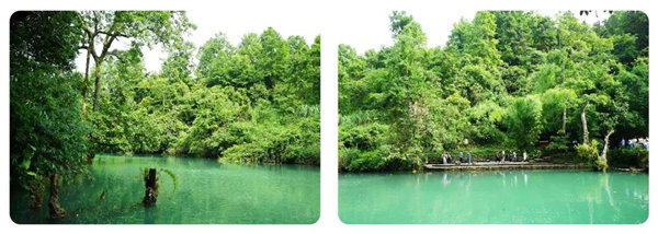 多彩貴州，魅力天下，2021年廣東博皓快樂(lè)貴州行--27