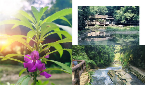 “湘”約鳳凰，相守未來——2022博皓快樂湖南行    -34