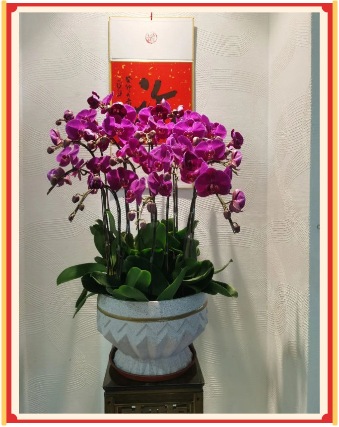 廣東博皓開工大吉丨金虎騰躍，兔來(lái)運(yùn)轉(zhuǎn)           -23