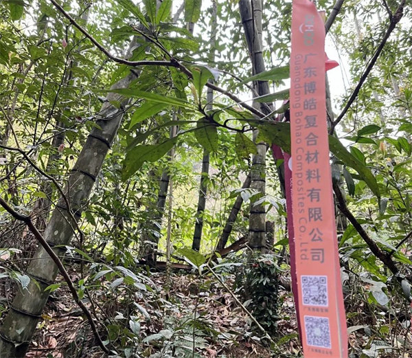 凝心聚力再出發(fā)，風(fēng)雨同舟赴星溪！--廣東博皓2024龍年首登星溪之旅     -2