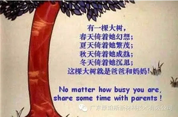 樹就是我們的父母！請愛護(hù)你們身邊的這棵樹！
