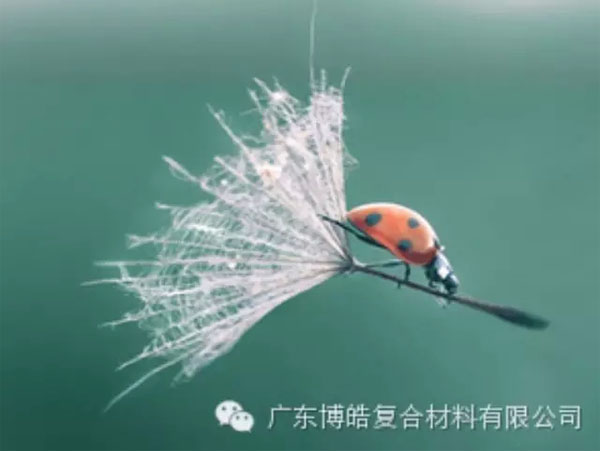 【博皓感悟】成功，要“借力”，不要“盡力”